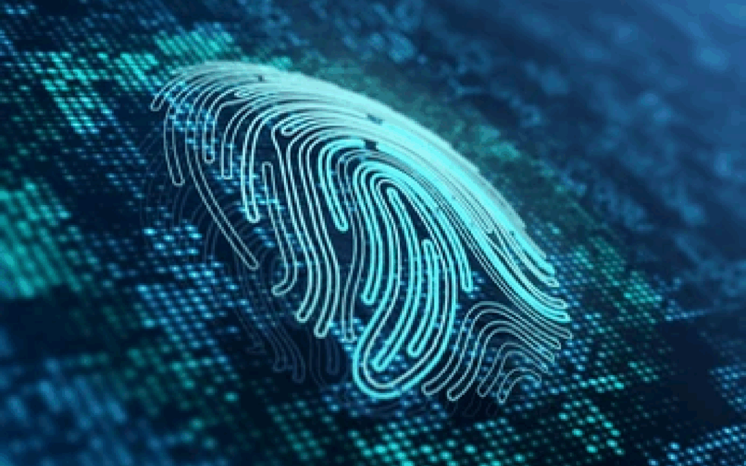 Roadmap to Self-Sovereign Identity for Financial Institutions